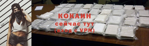 индика Новозыбков