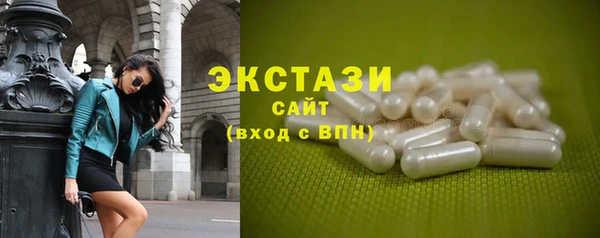 индика Новозыбков