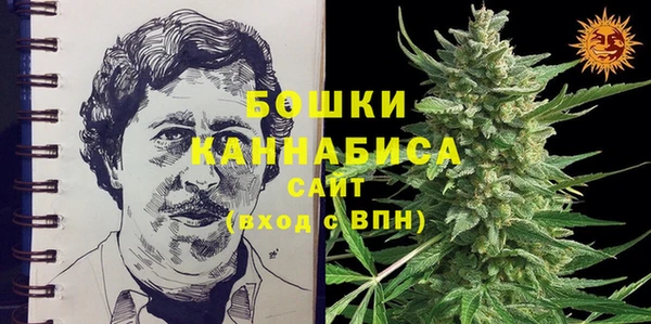 индика Новозыбков