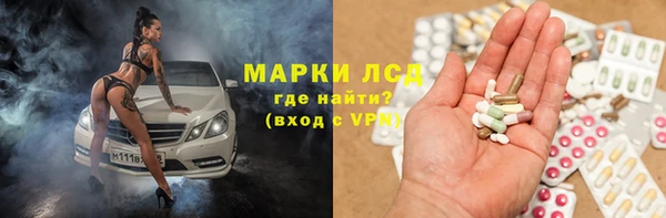 индика Новозыбков