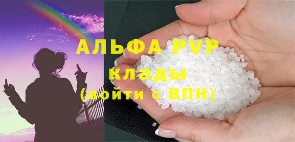 индика Новозыбков