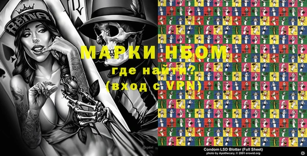 индика Новозыбков