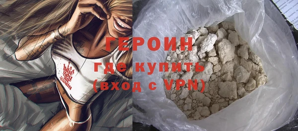 индика Новозыбков