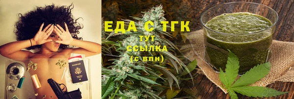 индика Новозыбков