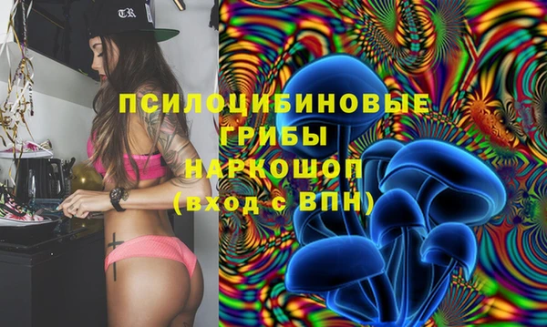 спайс Няндома