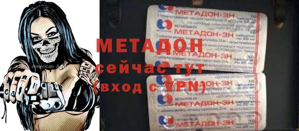индика Новозыбков