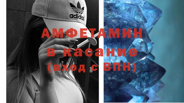 индика Новозыбков