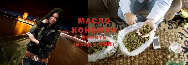 индика Новозыбков