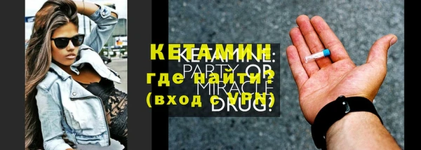 индика Новозыбков