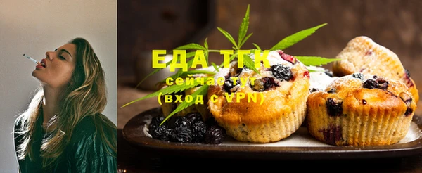 индика Новозыбков