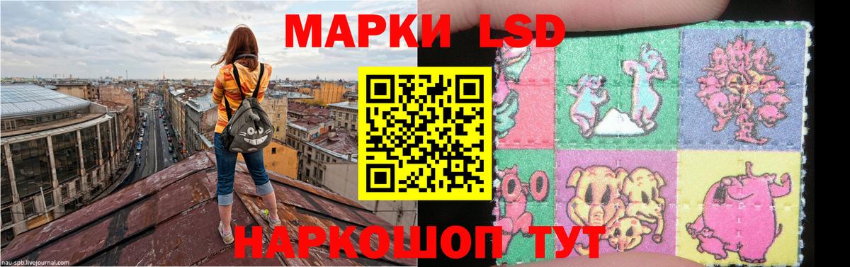 Нефтекумск  Лсд 25 экстази кислота  Вход с VPN  LSD-25 экстази кислота 