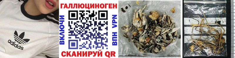 OMG ONION  Нефтекумск  Галлюциногенные грибы Psilocybine cubensis 